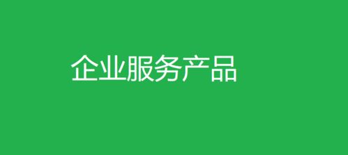 企業(yè)服務(wù)產(chǎn)品 從需求洞察到客戶成功的生態(tài)構(gòu)建